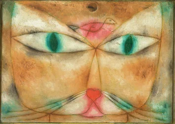 Gato y pájaro