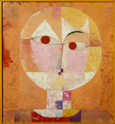 Senecio (Cabeza calva)