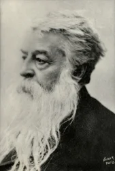 Retrato de Ernest Messonnier (foto)