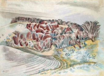 Paisaje