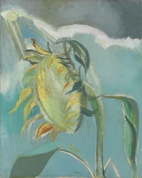 Girasol y sol, c. 1945 (óleo sobre lienzo)