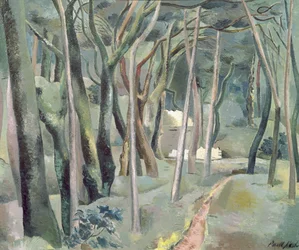 El bosque