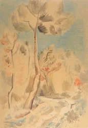 El pino (lápiz y acuarela sobre papel)