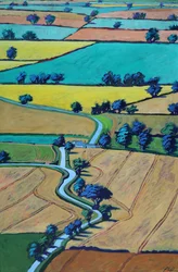 Camino en verano
