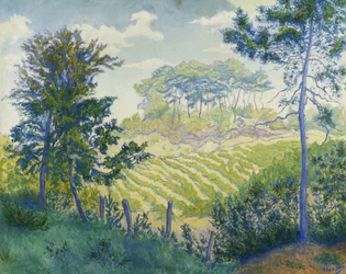 Viñedos bajo los pinos, c. 1898