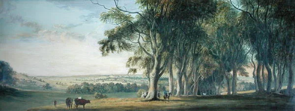 Vista de Windsor, desde Snow Hill en el Gran Parque