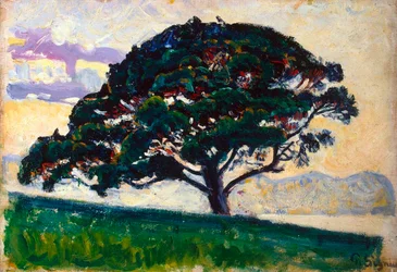 Gran pino, Saint-Tropez, 1892-1893