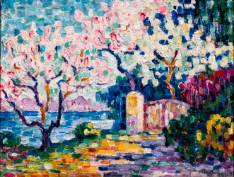 Almendros rosas en flor