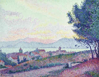 Saint Tropez – Bosque de pinos