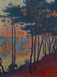 Velas y pinos