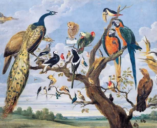 Concierto de pájaros, por Paul de Vos (circa 1591-1678), Países Bajos