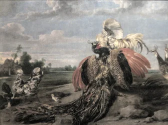 Pavo real y gallos de pelea