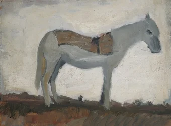 Burro