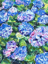 Coloridas flores de hortensia