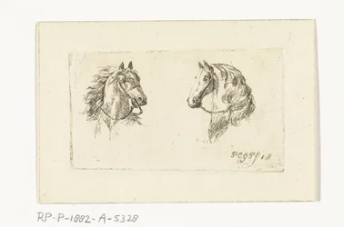 dos cabezas de caballo