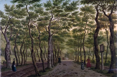 El Herepad en el bosque de La Haya