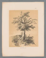 Auge Rostros pintorescos de Paulus Lauters (título de la serie) Etrennes pittoresques pour 1839, de Lauters (título de la serie)