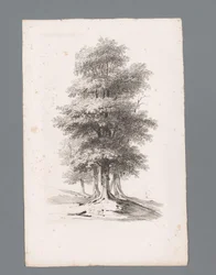 Grupo con cinco árboles Principios de los paisajes (título de la serie) Principios de paysages (título de la serie)