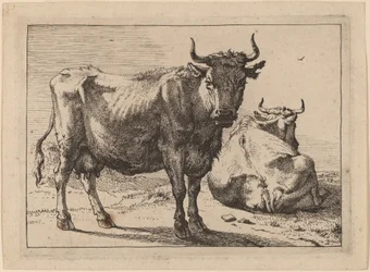 Una vaca de pie y otra acostada
