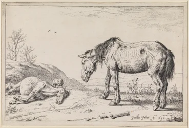 Caballos agotados