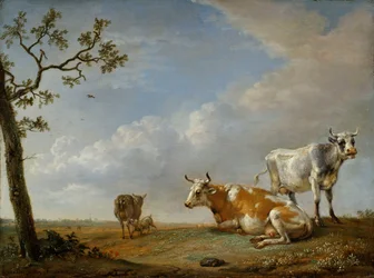Animales descansando en el pasto