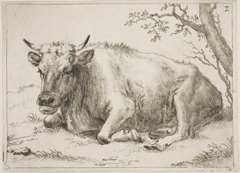 Vaca tumbada junto a un árbol, lámina 7 de Ocho toros y vacas