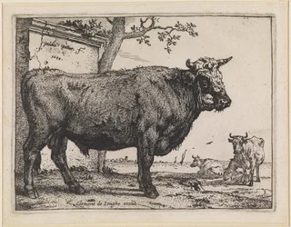 El toro