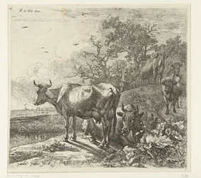 el pastor