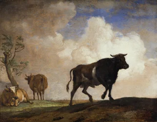 El toro