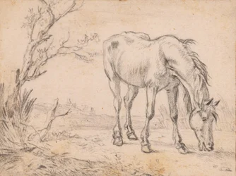 Un caballo pastando