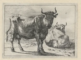 Una vaca de pie y una tumbada El folleto de Bullen (título de la serie)