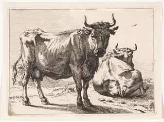 Una vaca de pie y otra reclinada
The Bull Book (título de la serie)
