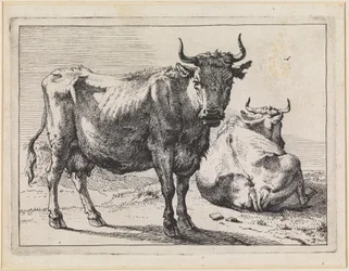 Una vaca de pie y una vaca echada