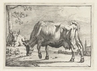 vaca pastando El folleto de Bullen (título de la serie)