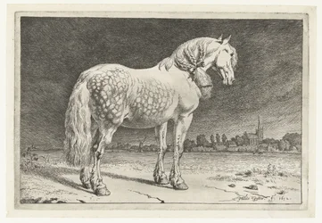 El caballo frisón Caballos (título de la serie)