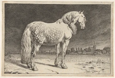El caballo frisón Caballos (título de la serie)