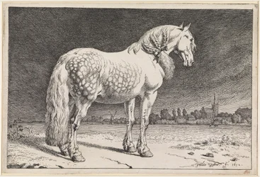El caballo frisón