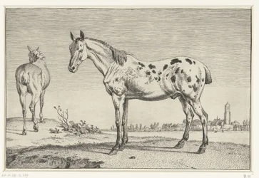 el caballo atracado Caballos (título de la serie)