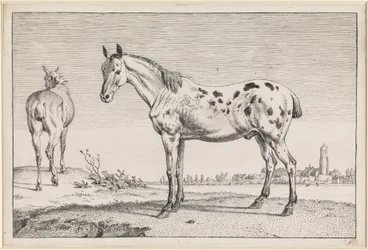El caballo con la cola cortada