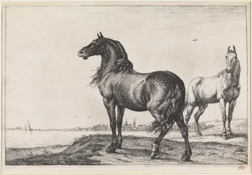 Caballo relinchando