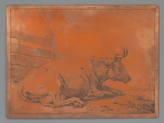 Vaca tumbada junto a una valla