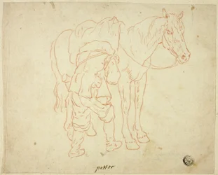 Hombre ajustando la silla en el caballo
