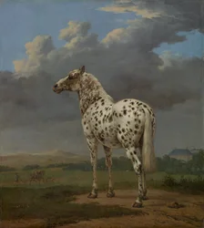 Caballo pío, ca. 1654