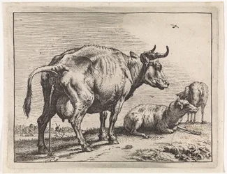 Vaca que orina
The Bull Book (título de la serie)