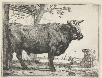 Tauro El folleto de Bullen (título de la serie)