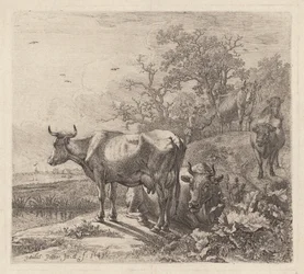 El vaquero