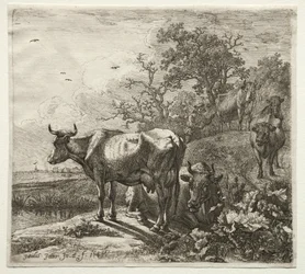 The Cowherd