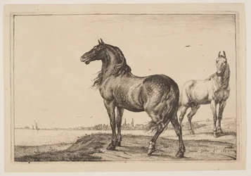El caballo recortado, de Series de caballos