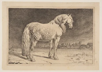 El caballo frisón, de Series de caballos