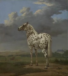 El caballo "Piebald"